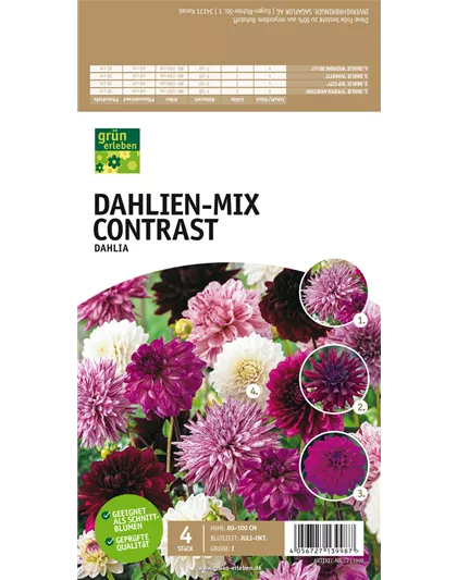 Dahlien-Mix Contrast