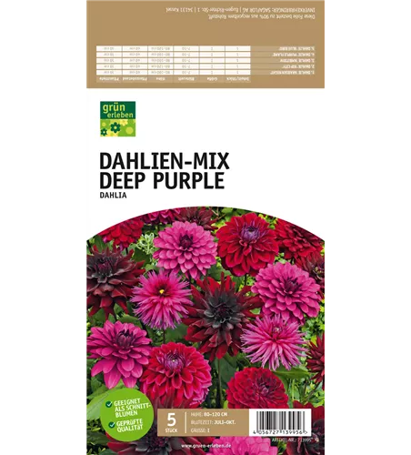 Dahlien-Mix Deep Purple