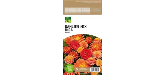 Dahlien-Mix Inca