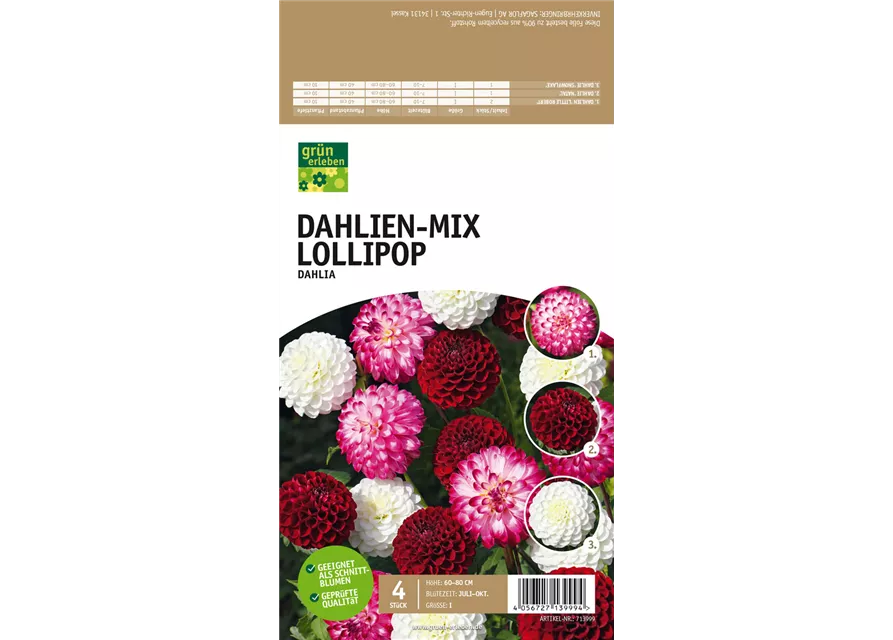 Dahlien-Mix Lollipop