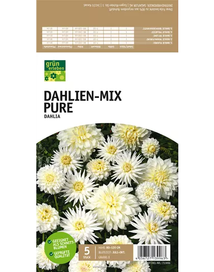 Dahlien-Mix Pure