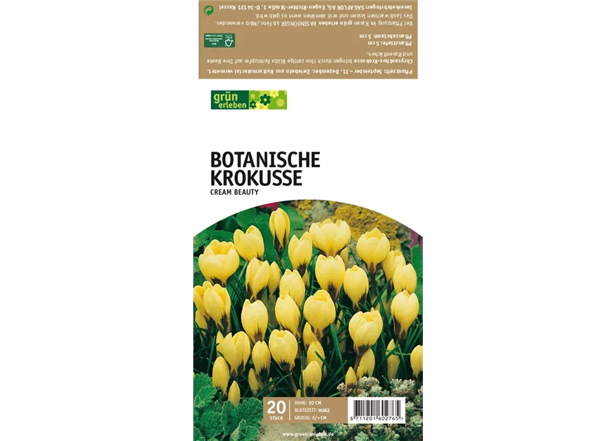 Botanische Krokusse