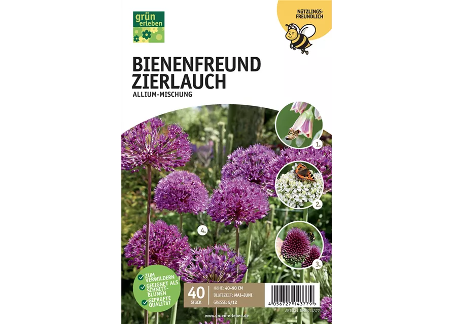 Allium Mischung