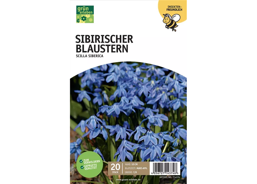 Blausternchen