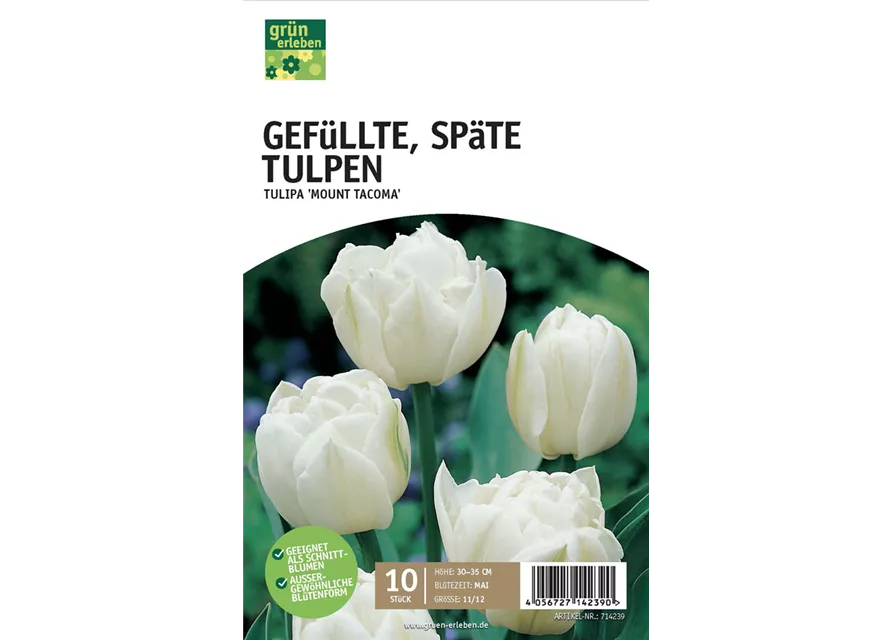 Gefüllte späte Tulpen