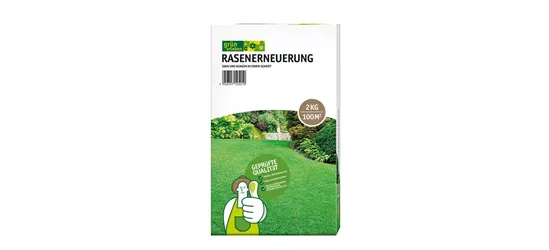 Rasenerneuerung