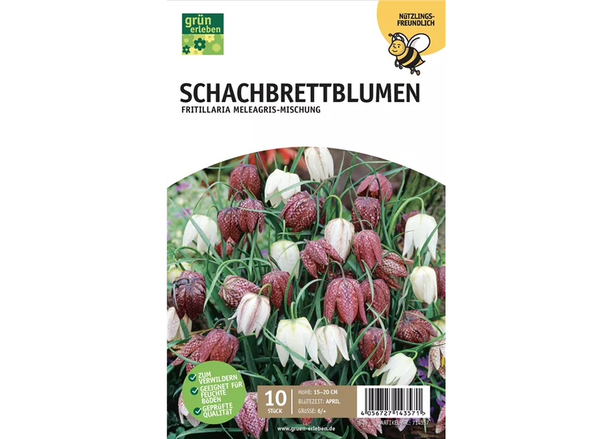 Schachbrettblumen