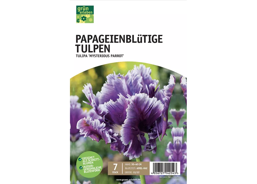 Papageien-Tulpen