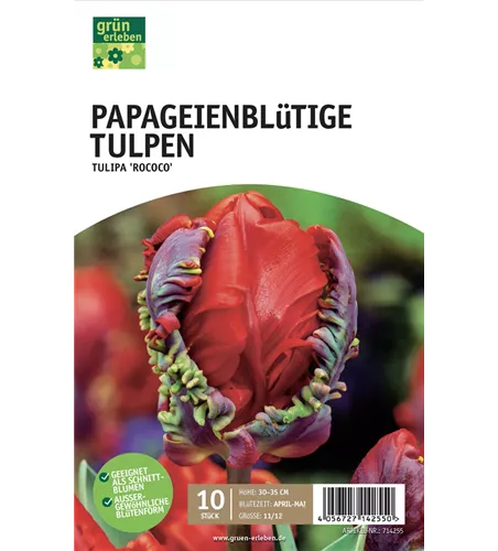 Papagei-Tulpen