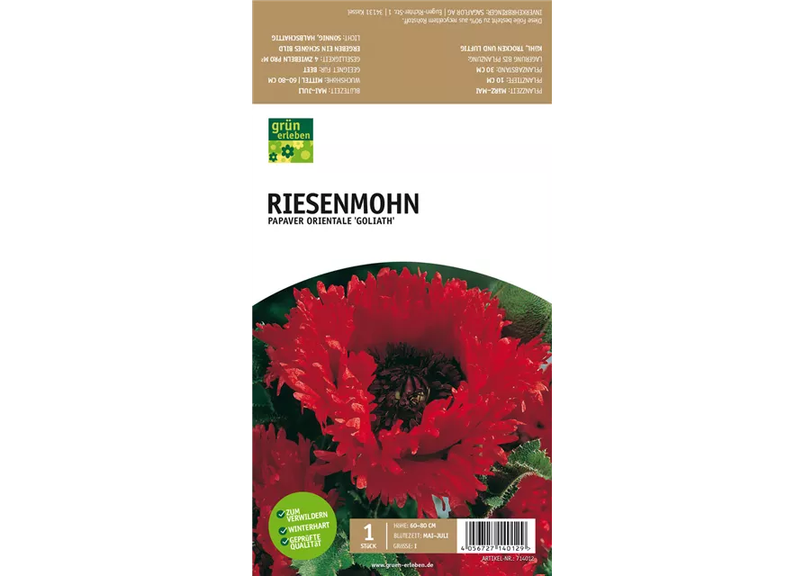 Riesenmohn