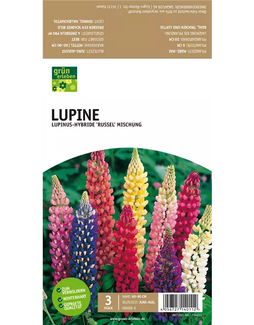 Lupine