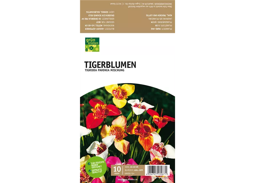 Tigerblumen