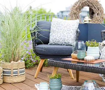 PFLEGELEICHTE SCHöNHEITEN FüR DIE DACHTERRASSE!